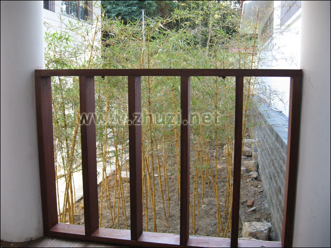 宜春市林業(yè)科學研究從本公司引種的竹子