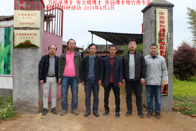 江西農(nóng)業(yè)大學(xué)竹類(lèi)專(zhuān)家前來(lái)公司進(jìn)行觀賞竹科研活動(dòng)