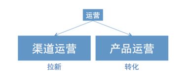 運(yùn)營(yíng)部來(lái)了個(gè)女村官