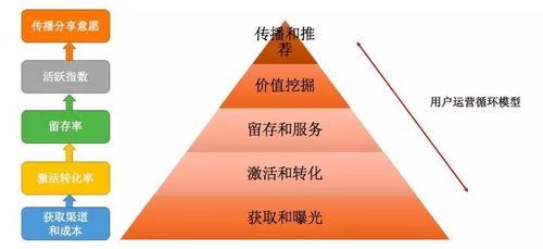 借助創(chuàng)利樹(shù)小程序玩轉(zhuǎn)私域流量,構(gòu)建企業(yè)全域粉絲運(yùn)營(yíng)能力
