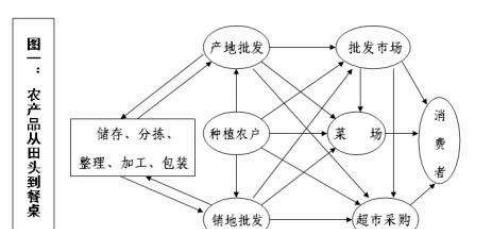 60萬(wàn)人涌入,14萬(wàn)斤售罄 繼浙江 廣東之后,安徽也出手了